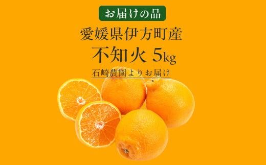 【先行予約】【数量限定】不知火5kg（石崎農園）※離島への配送不可 （2026年2月10日より順次発送予定） IKTAG002 