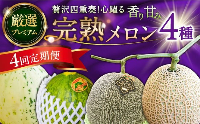 【4回定期便】＜メロン食べ比べ＞平成新山メロンPREMIUM（とみちゃん厳選）パパイヤ しらかば グリーン アールス / メロン めろん 果物 フルーツ 青肉 / 南島原市 / うえだメロン園[SAD012]