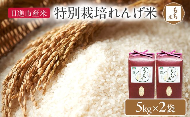 もち米 特別栽培れんげ米 日進市産もち米 5kg×2袋 米 コメ お米 モチ米 餅米 お餅 おもち 粘り強い 特別栽培米 日進市 愛知県