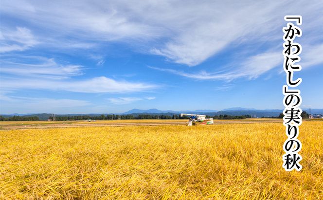 定期便 全6回 魚沼産コシヒカリ 5kg お米 米 コメ 