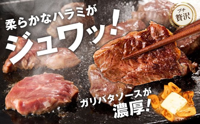 015B637 【ひと口カット】牛ハラミステーキ 800g【200g×4P ガーリックバター味 お試し 小分け カット済み 牛肉 訳あり サイズ不揃い 焼くだけ】