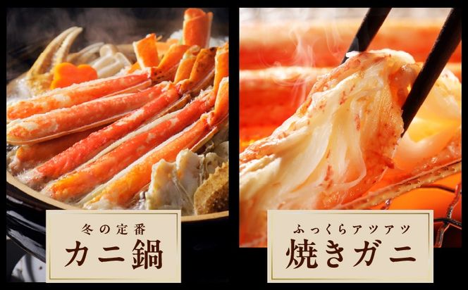 kgp0035 ボイルズワイ蟹 1.2kg カット済み（3-4人前）
