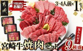 【数量限定】宮崎牛9種盛り焼肉セット≪みやこんじょ特急便≫_22-3101-Q