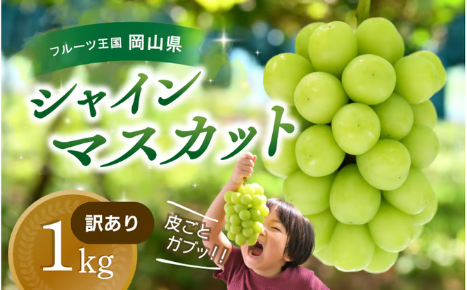 【2026年先行予約】ぶどう 訳あり 花笑み農園の シャインマスカット 1kg / ぶどう ブドウ 葡萄 岡山 シャインマスカット 先行予約 フルーツ 果物 真庭市 【hana035-02】