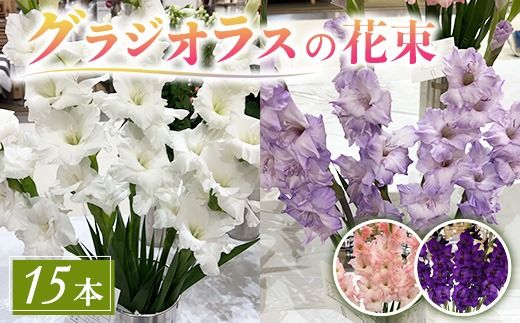 グラジオラスの花束 15本セット ※2026年6月上旬～7月上旬頃に順次発送予定 ※離島への配送不可