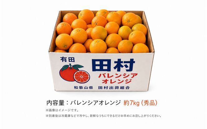 秀品　田村のバレンシアオレンジ　約7kg　※2027年6月下旬頃～7月上旬頃 順次発送予定【uot872】
