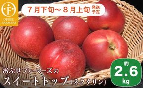 スイートトップ 約2.6kg ［おぶせファーマーズ］ ネクタリン 果物 フルーツ 桃 もも 冷蔵便 クール便  長野県産 信州産  令和8年産 【2026年7月下旬～8月上旬発送】
