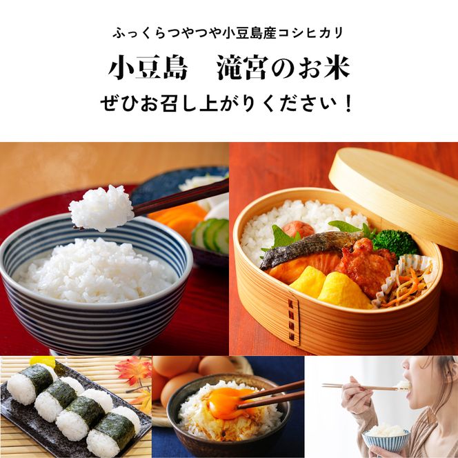 【 小豆島 】小豆島 滝宮で獲れたふっくらつやつや 小豆島産 コシヒカリ 10kg こしひかり お米 米 白米 精米 もっちり 甘み 香川 香川県 土庄 土庄町