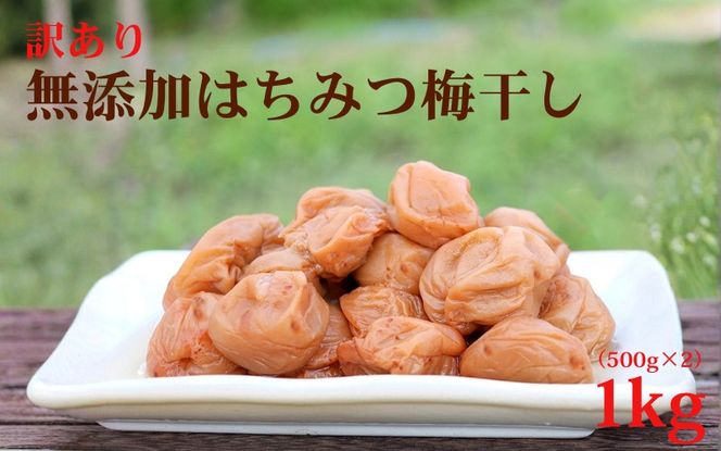 【梅干し 紀州南高梅 はちみつ】 無添加 訳あり はちみつ梅干 1kg（500×2） 紀州梅香 / 塩分6％ 和歌山 梅干し 紀州南高梅 南高梅 梅干 梅 うめ 肉厚 お米 おにぎり 焼酎【baiko001A】