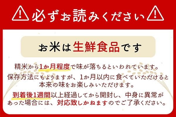 山形のブランド米！食べ比べ 6kgセット 2kg×3袋 つや姫 はえぬき 雪若丸 令和7年産 2025年産 コシヒカリの原点、亀の尾発祥の地 庄内