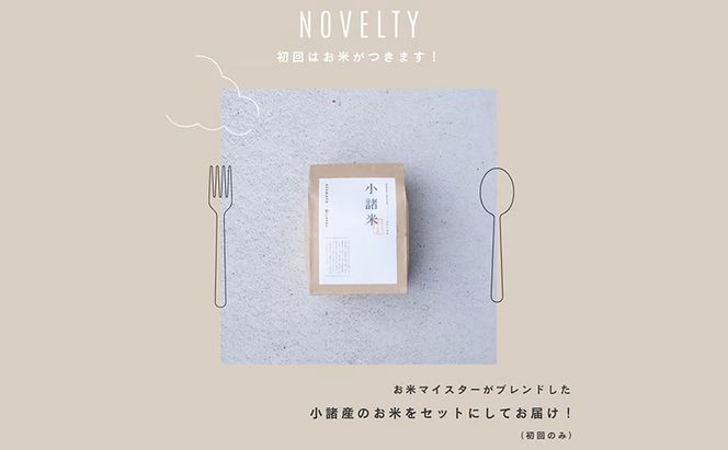 野菜の定期便 てのひら小諸 12～15種類 3ヶ月連続お届け 
