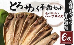 とろサバ 干物 6枚 お試し ハーフサイズ おひとり様 簡単調理 冷凍保存　1枚約200g前後×6枚　合計約1.2kg前後