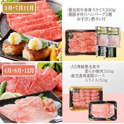 定期便4回配送　肉の定期便 EE-6016 【1491491】