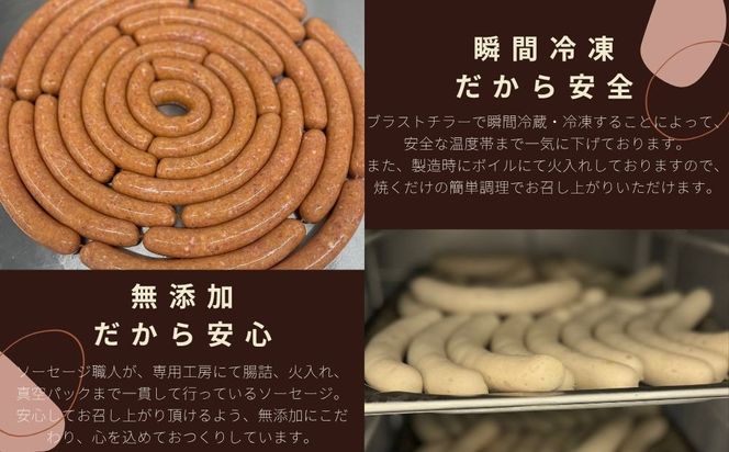 【ジャングルケイブ】肉感たっぷり 手作り無添加ソーセージ(スタンダード)5本×約100g｜京都 御所南 ソーセージとお肉の店 人気セット [ 手作り無添加ソーセージ スタンダード 肉肉しい おいしい グルメ 人気 おすすめ ギフト プレゼント お取り寄せ 通販 送料無料 ふるさと納税 ］ 261009_B-XU02