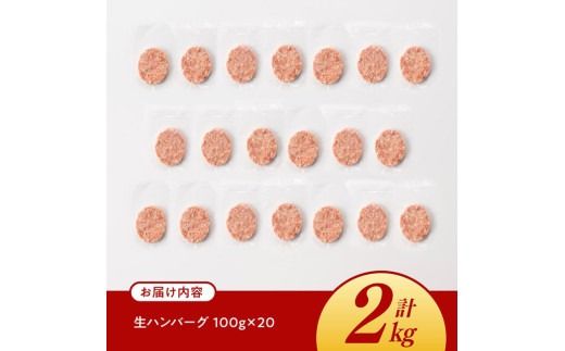 ハンバーグ 宮崎県産豚肉 「まるみ豚」 生ハンバーグセット計2kg（100g×20個）☆【 肉 豚肉 国産 ハンバ―グ 弁当 おかず お手軽 真空パック 九州産 宮崎県産 川南町産 送料無料 】[D11518]