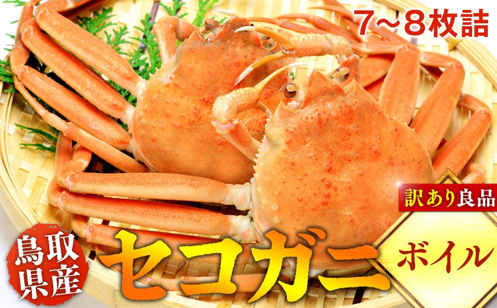 922.[ボイル]鳥取県産セコガニ 訳あり 良品7~8枚詰[かに カニ 蟹 セコガニ]※2026/11/6〜2026/12/25に順次発送予定※着日指定不可 離島不可(北海道、沖縄本島は配送可能) 313726_AL002VC02