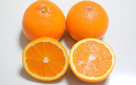 【先行予約】【濃厚】有田産 清見 オレンジ 5kg(サイズおまかせまたは混合) ご家庭用　 / みかん オレンジ 和歌山 有田みかん 柑橘 フルーツ 果物 ※2027年3月上旬～3月下旬頃発送予定（お届け日指定不可）【tec011-c-5】
