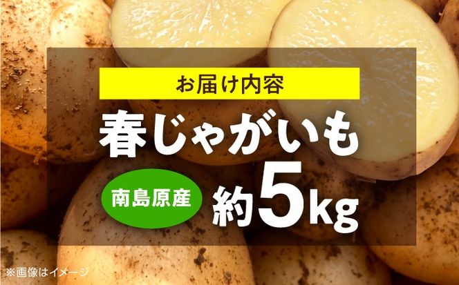じゃがいも 約5kg 馬鈴薯 春じゃが / ジャガイモ ばれいしょ 野菜 やさい 芋 / 南島原市 / 株式会社松尾青果[SGU001]