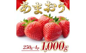 苺 福岡県産 あまおう 1000g（4パック） 先行予約 発送予定：2026年12月より順次発送 いちご イチゴ 果物 ※配送不可:離島