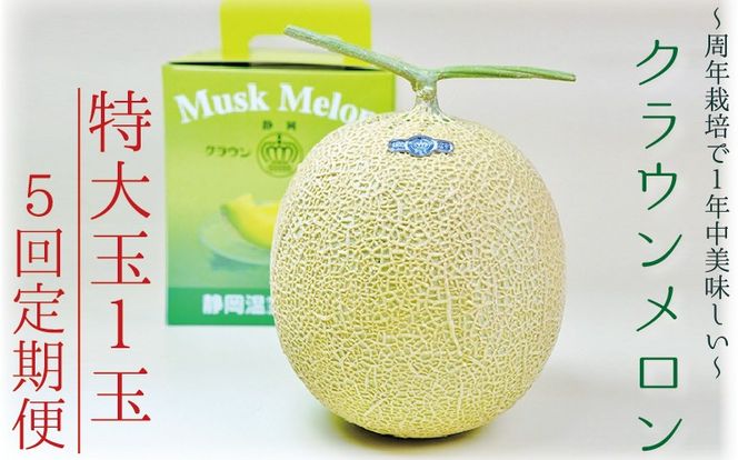 【5ヶ月定期便】クラウンメロン（白等級）特大玉　1玉入 　果物 フルーツ デザート メロン マスクメロン 青肉 高級 ギフト 贈り物 静岡県産 袋井市
