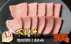 【定番】大府特産A5黒毛和牛下村牛焼肉用特上あかみ　500g 232238_N051