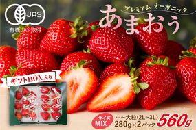 プレミアムオーガニックあまおう 「いせいちご」 スペシャルギフト【伊世いちご畑】_HA0480