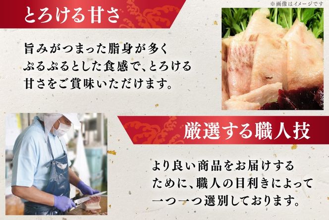 BJ142 さえずり ブロック 100g×6個セット 計600g [ くじら クジラ 鯨肉 湯引き 簡単調理 おつまみ 肴 珍味 小分け 日野商店 長崎県 島原市 ]