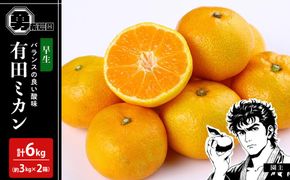 先行予約早生みかん 約6kg（約3kg×2箱）サイズ混合 和歌山県 有田みかん 2025年11月中旬頃発送 	EF17