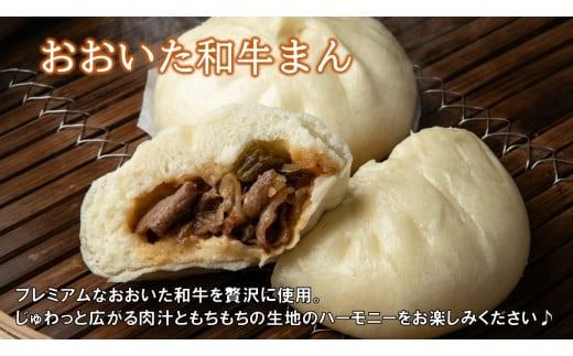 職人手作りの「おおいた和牛まん&特製豚まん&ミニ豚まん 贅沢食べ比べセット」_2564R