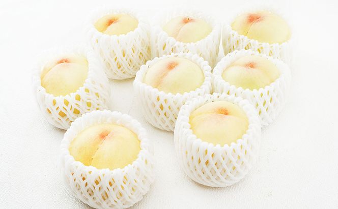 桃 2026年 先行予約 白桃 8玉 （1玉200g以上） 等級：ロイヤル 化粧箱入り もも モモ 岡山県産 国産 フルーツ 果物 ギフト 贈答品 糖度12.0度以上