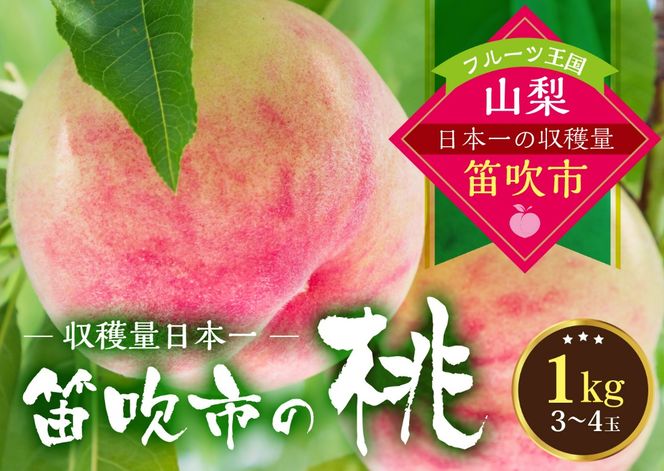 【2026年発送★先行予約】桃の一大産地！笛吹市産旬の桃約1kg 167-164-26y
