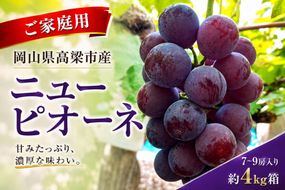 ニューピオーネ7～9房入り 約4kg コンテナ茶箱 ご家庭用 岡山県高梁市産