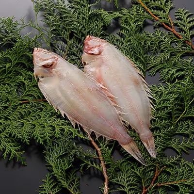 こだわりの干かれい 充実 セット 詰め合わせ かれい専門店 ヒレグロ ソウハチ かれい カレイ 干し魚 干物 ひもの 魚 魚介 魚介類 冷凍 岩手 岩手県 宮古市