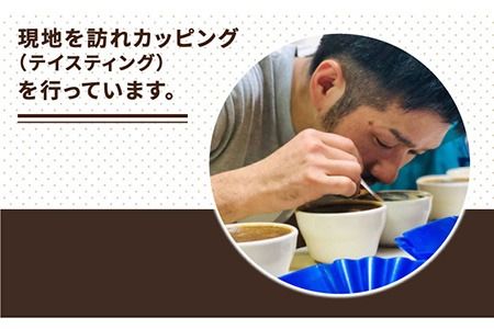 【年内発送】中深煎り コーヒー 豆 タナカフェブレンド 250g × 2袋（ 豆 ・ 粉 選べます ） 《糸島》 【COFFEE UNIDOS】 [AQF011] 珈琲 カフェ コーヒー粉