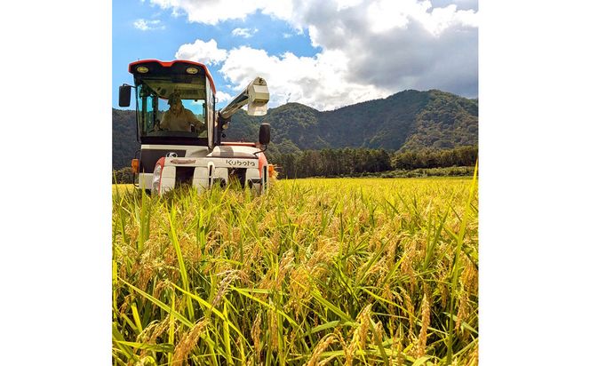 令和7年産　山崎農園こしひかり　無洗米10kg 313726_CH006