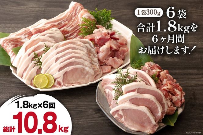 6回 定期便 豚 鶏肉 小分け お料理 セット 計10.8kg [甲斐精肉店 宮崎県 美郷町 31as0066] 肉 毎月 お届け 冷凍 宮崎県産 国産 若鶏 鳥 切落し ロース 生姜焼き とんかつ ひき肉 ミンチ もも カット バラ スライス 薄切り カレー シチュー 角切り チューリップ 手羽元 トンカツ 予約 送料無料