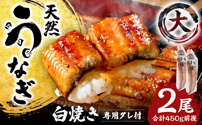 熊本県八代市産 天然うなぎ 白焼 (大) 2尾 合計450g前後 蒲焼のたれ付き 鰻 国産 蒲焼 ウナギ うなぎ 丑の日 冬が旬 冷凍 熊本県 八代市