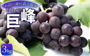 【先行予約】有田産 巨峰 約 3kg 有田 巨峰村 森下農園 ぶどう 送料無料 フルーツ★2026年8月下旬から順次発送 AE01