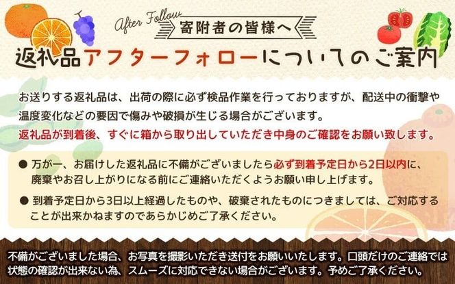【2026年先行予約】蒜山高原 生ブルーベリー 1kg / 国産 ブルーベリー フルーツ 新鮮 果物 産直 産地直送 数量限定 岡山県 真庭市 蒜山 【kbkb001-01】