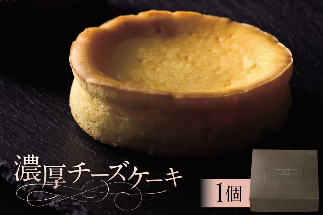 ns133-006 濃厚チーズケーキ