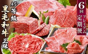 定期便(6回配送)A5等級鹿児島県産黒毛和牛三昧 II-0016 【1166763】