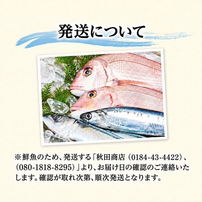 【 年3回 定期便 冷蔵 クール便 】にかほ市の海を自宅で堪能！ 鮮魚詰め合わせセット 3～4人前 「12月～3月配送対象外」【 下処理済み 鮮魚セット 象潟 海産物 海鮮 海の幸 秋田 にかほ 】