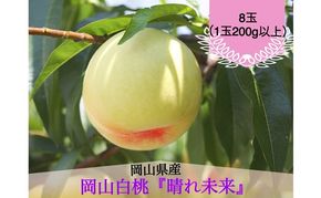 桃 2026年 先行予約 白桃 8玉（1玉200g以上）化粧箱入り もも モモ 岡山県産 国産 フルーツ 果物 ギフト 早生