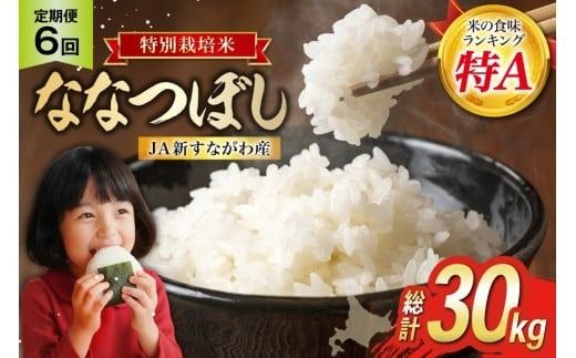 米 ななつぼし 令和8年 特栽米 6回 定期便 JA新すながわ産 特栽米ななつぼし 5kg×6回 総計30kg [ホクレン商事 北海道 砂川市 12260796] 令和8年産 定期 お米 コメ 白米 ごはん ご飯 国産 米 こめ kome おこめ