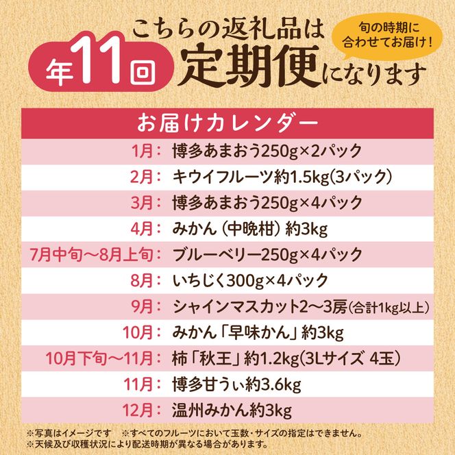 【定期便/年11回】JAむなかた厳選！旬のフルーツ定期便【JAほたるの里】_HB0171