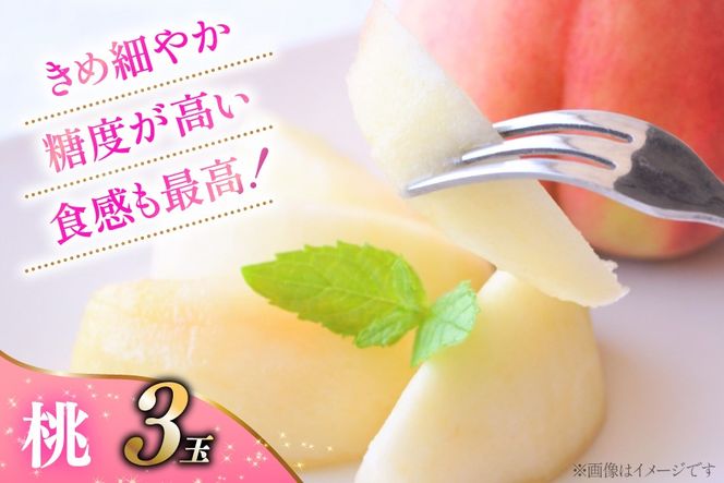 【2026年発送！先行予約！】NS-1021【王道コンビ全2回ちっとばかし定期便】桃3玉1回×シャインマスカット1房1回 [韮崎翠緑 山梨県 韮崎市 20745401] 桃 シャインマスカット もも シャイン マスカット ぶどう 葡萄 くだもの 果物 フルーツ