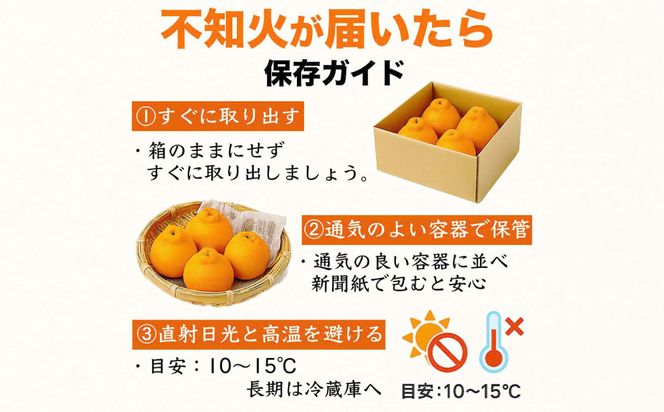 【先行予約】 不知火 デコみかん (デコポン同品種) 約3kg (6～13玉) フルーツ くだもの 果物 みかん 蜜柑 ミカン 柑橘 おやつ デザート 旬 熊本県 八代市 【2027年2月上旬より順次発送】