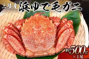 【期間限定発送】かに 三陸産浜ゆで毛ガニ 約500g [村東商店 宮城県 気仙沼市 20564164] 魚介類 海鮮 三陸産 三陸 カニ 蟹 毛ガニ 毛がに 毛蟹 ボイル 浜茹で 浜ゆで 冷蔵