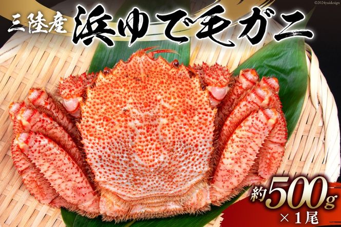 y{錧CszyԌ蔭z OYlŖуKj 500g [X {錧 Cs 20564164]  CN OY O Jj I уKj т ъI {C l䥂 l ①