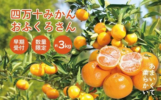[早期受付・数量限定]農家直送!四万十みかん[おふくろさん]3kg 家庭用 予約 先行 先行受付 早期 早期受付 数量限定 2025年配送 家庭用 甘い あまい 旬 温州 温州みかん みかん 蜜柑 ミカン オレンジ フルーツ 果物 くだもの ジューシー 柑橘 四万十市 四万十 しまんと 高知県 高知 南国 土佐 四国 産地直送 農家直送 [2025年11月中旬より順次配送]25-550